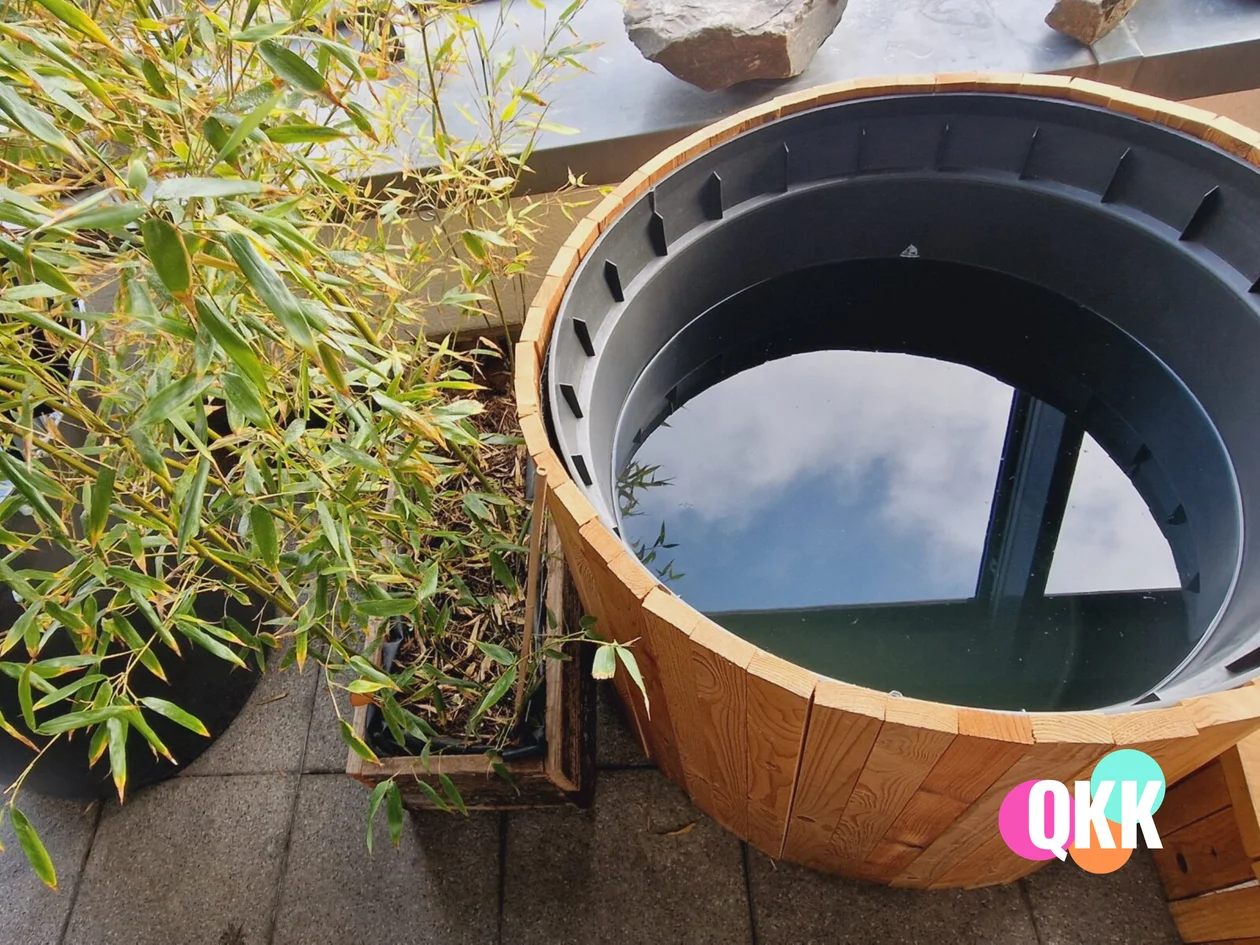 Plunge pool