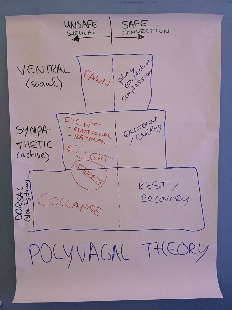 Polyvagal Theory: Nervous System States
